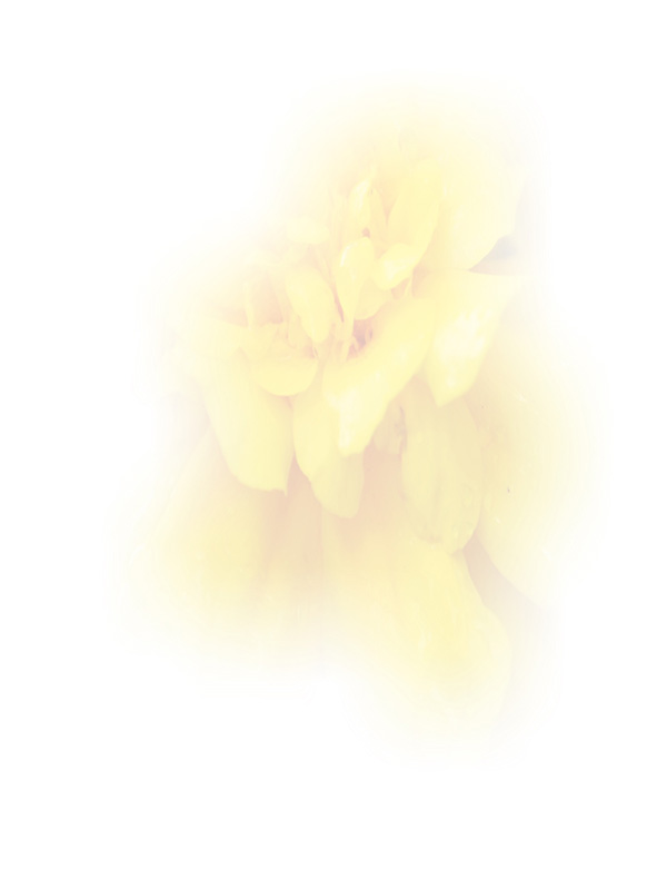 Law of Attraction Card - Image 3