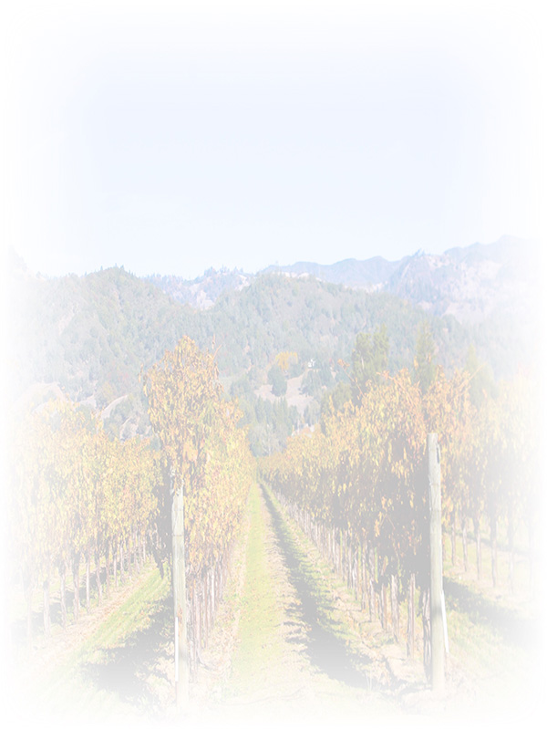 Law of Attraction Card - Image 3