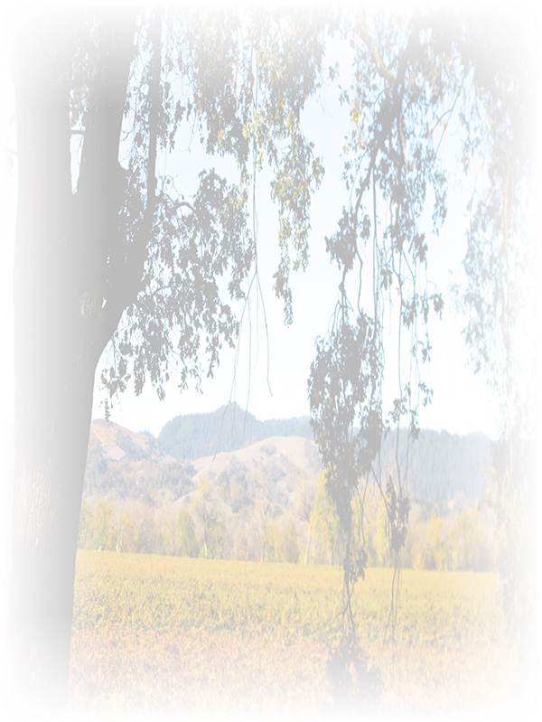 Law of Attraction Card - Image 3