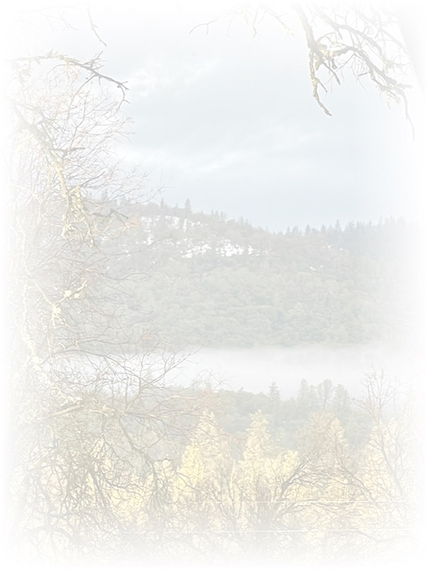 Law of Attraction Card - Image 3