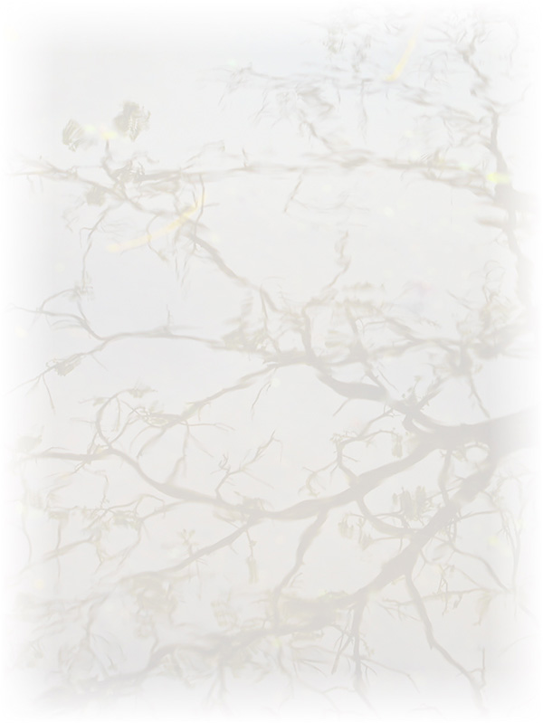 Law of Attraction Card - Image 3