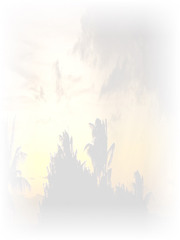 Law of Attraction Card - Image 3