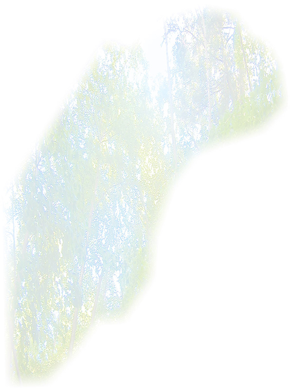 Law of Attraction Card - Image 3