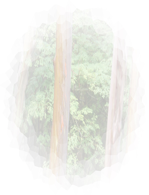 Law of Attraction Card - Image 3