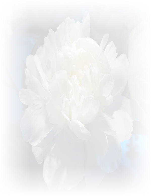 Law of Attraction Card - Image 3