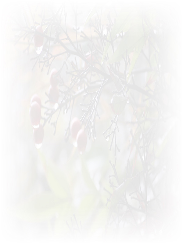 Law of Attraction Card - Image 3