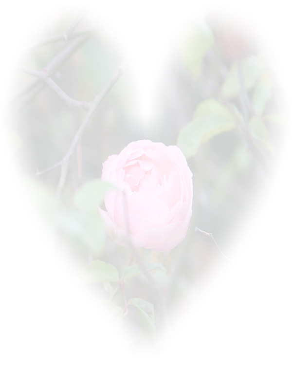 Law of Attraction Card - Image 3