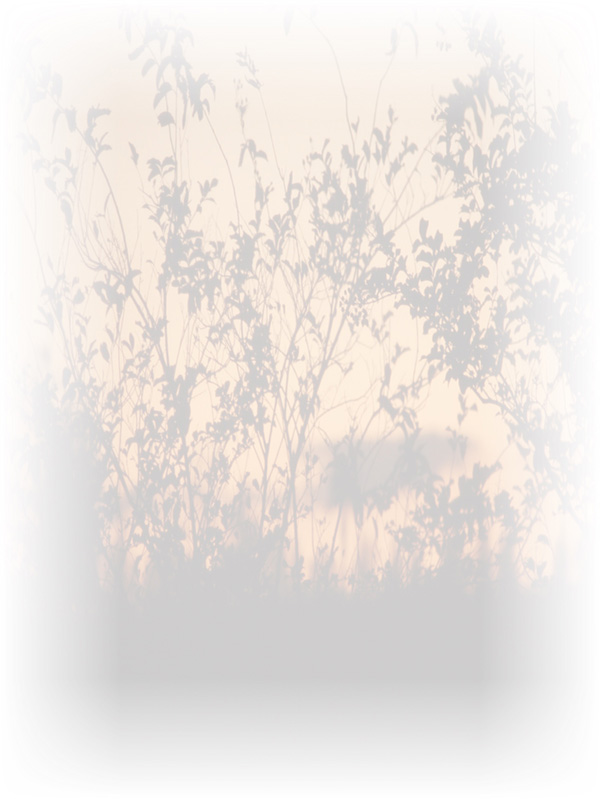 Law of Attraction Card - Image 3