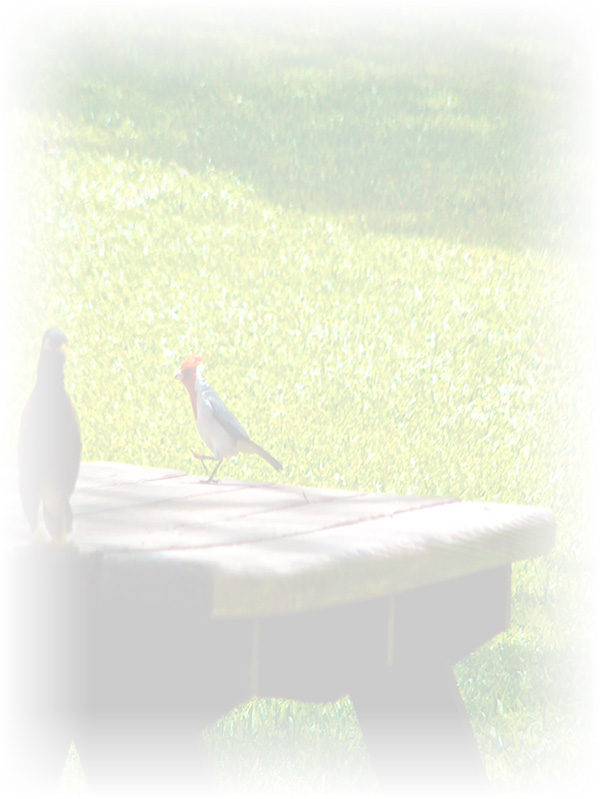 Law of Attraction Card - Image 3
