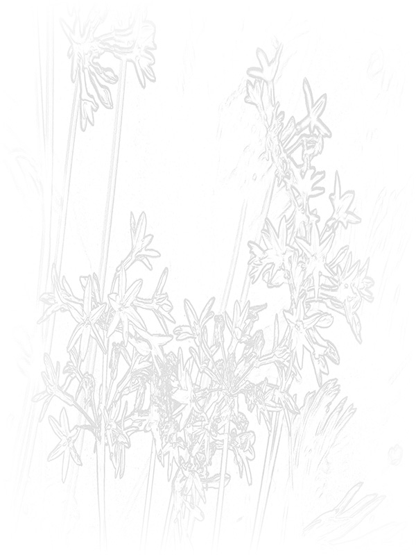 Law of Attraction Card - Image 3