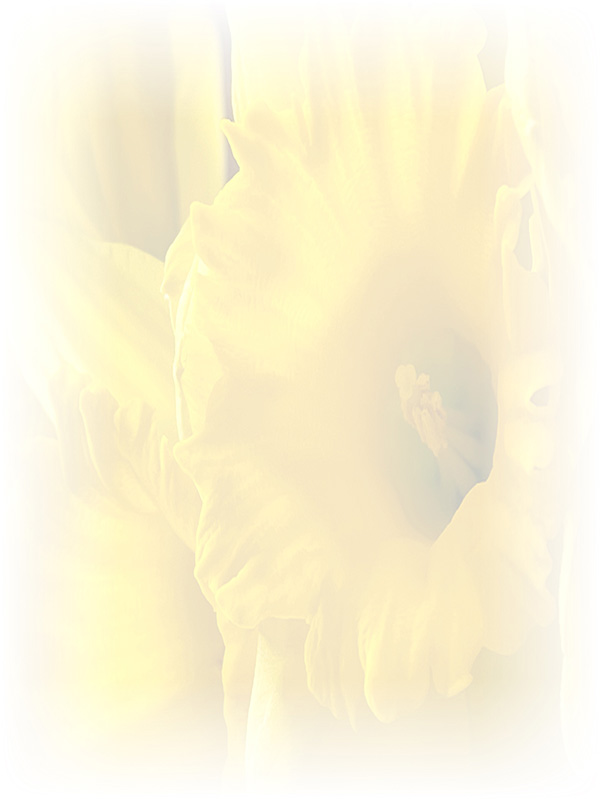 Law of Attraction Card - Image 3