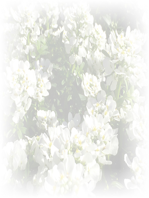 Law of Attraction Card - Image 3