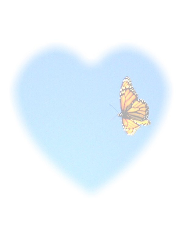 Law of Attraction Card - Image 3
