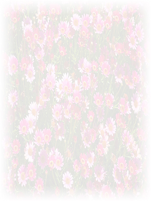 Law of Attraction Card - Image 3