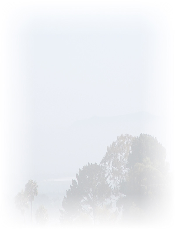 Law of Attraction Card - Image 3