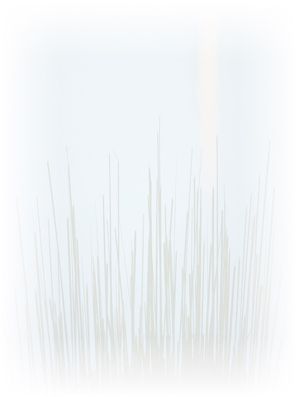 Law of Attraction Card - Image 3