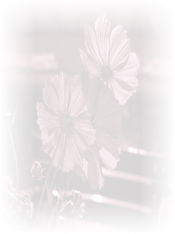 Law of Attraction Card - Image 3