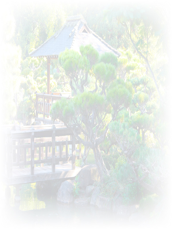 Law of Attraction Card - Image 3