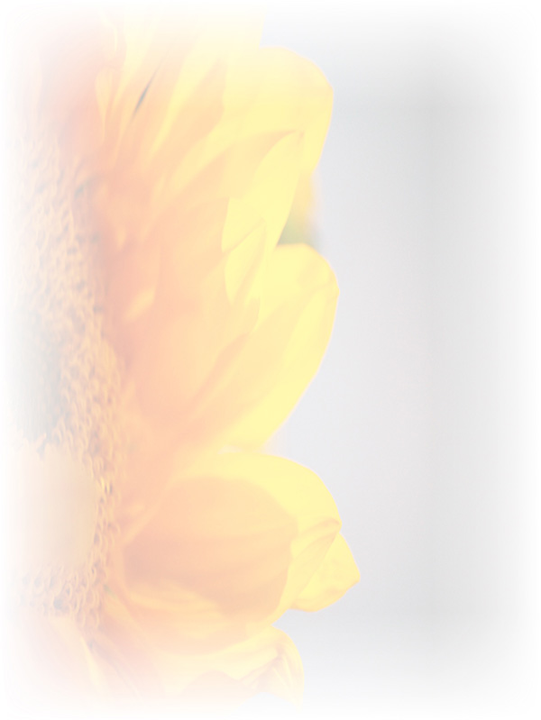 Law of Attraction Card - Image 3