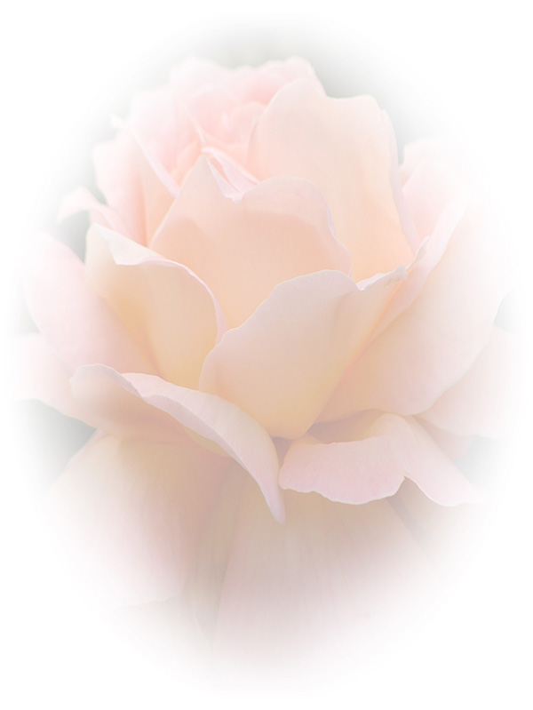 Law of Attraction Card - Image 3
