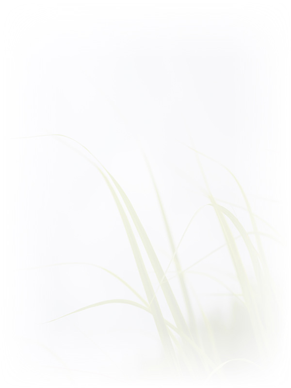 Law of Attraction Card - Image 3