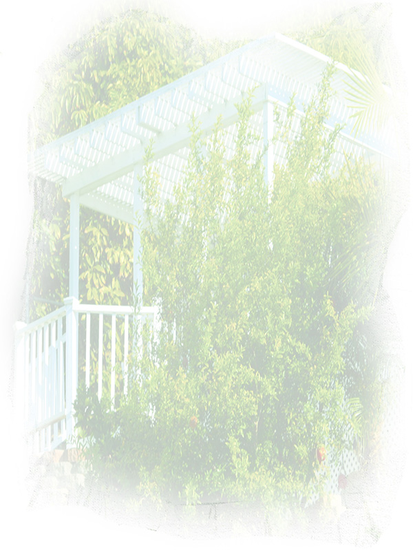 Law of Attraction Card - Image 3