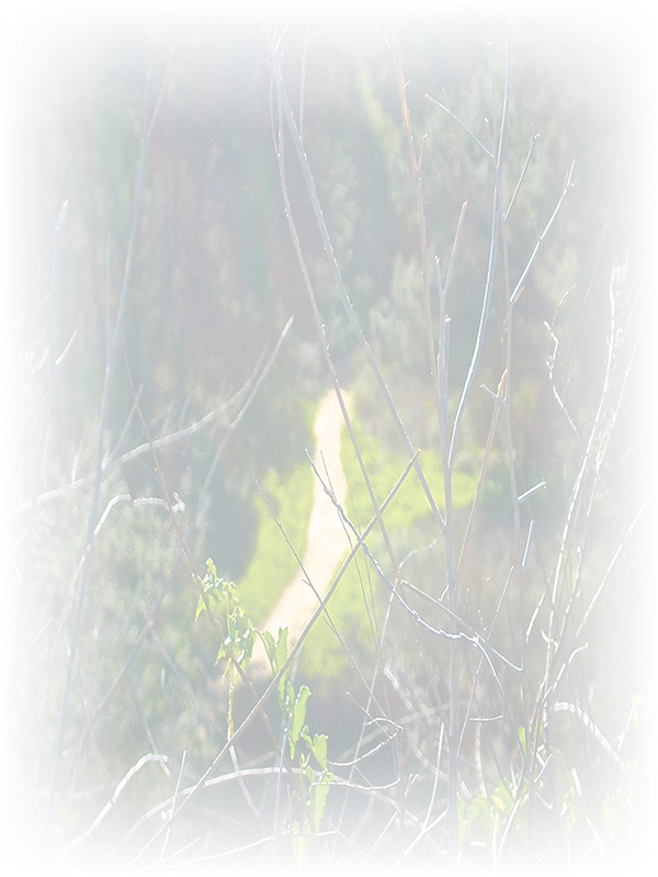 Law of Attraction Card - Image 3