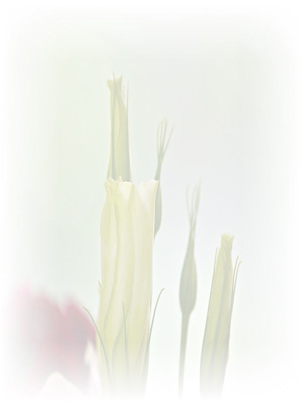 Law of Attraction Card - Image 3