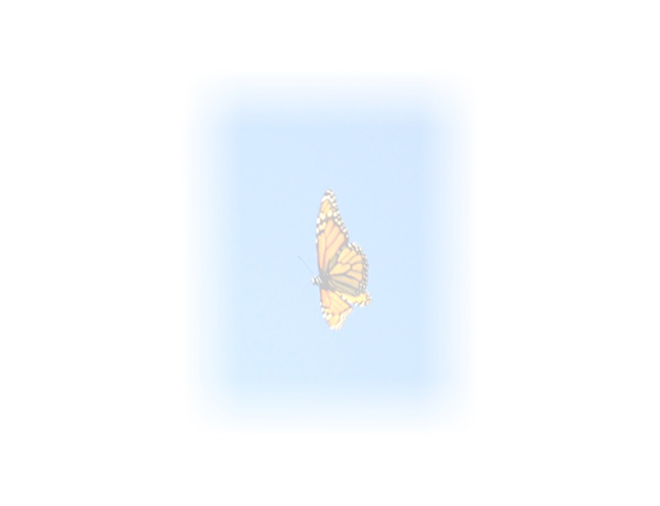 Law of Attraction Card - Image 3