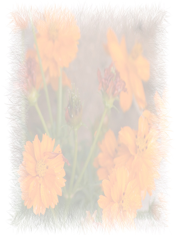 Law of Attraction Card - Image 3