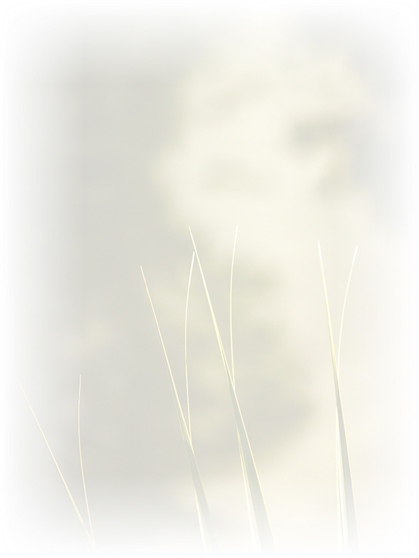 Law of Attraction Card - Image 3