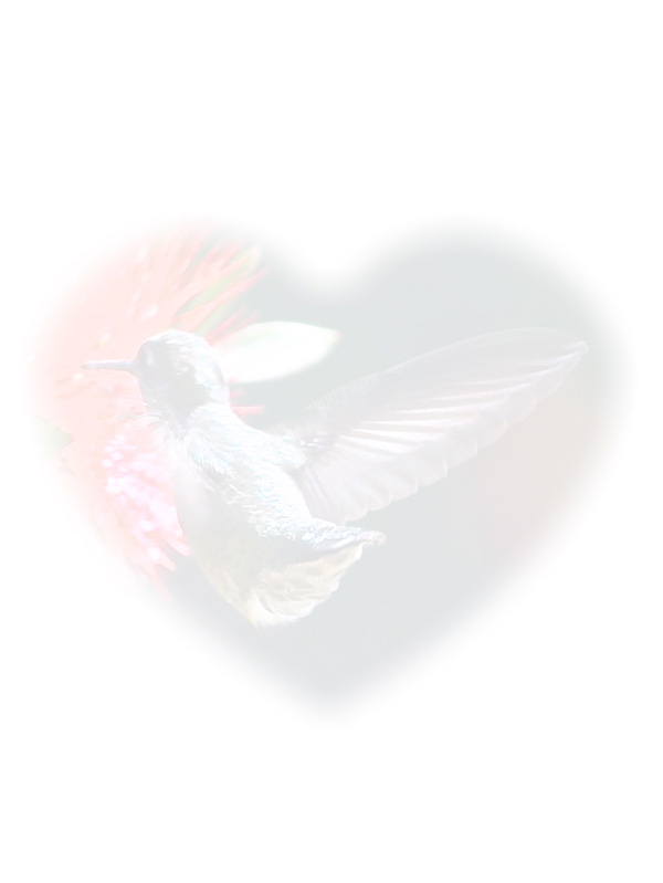 Law of Attraction Card - Image 3
