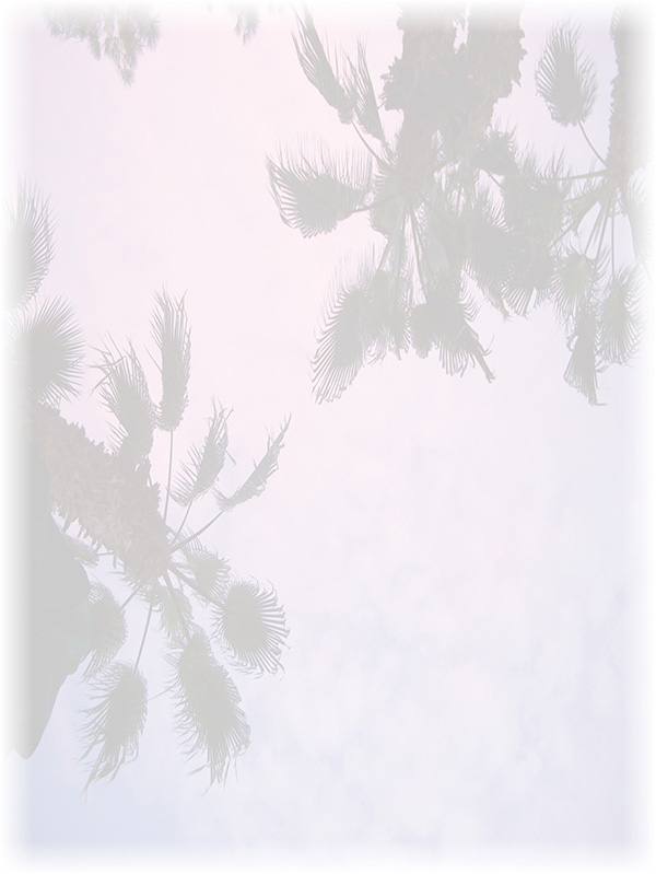 Law of Attraction Card - Image 3