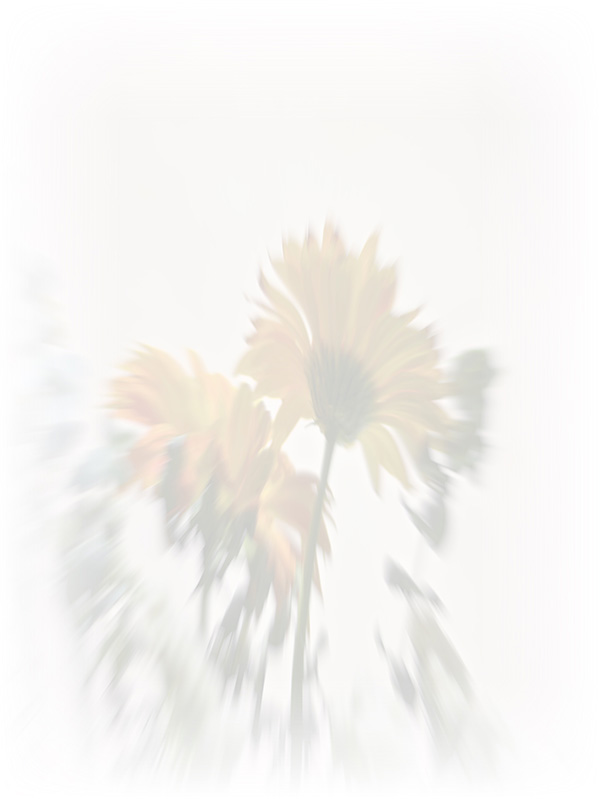 Law of Attraction Card - Image 3