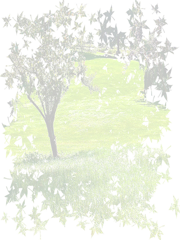 Law of Attraction Card - Image 3
