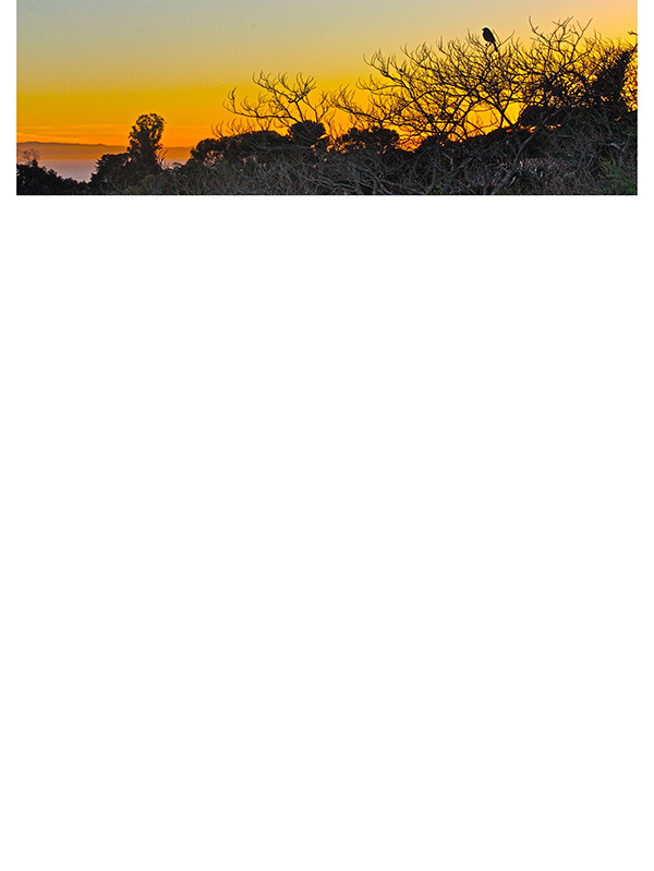 Law of Attraction Card - Image 3