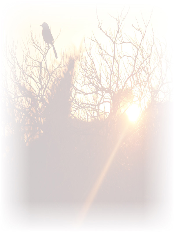 Law of Attraction Card - Image 3