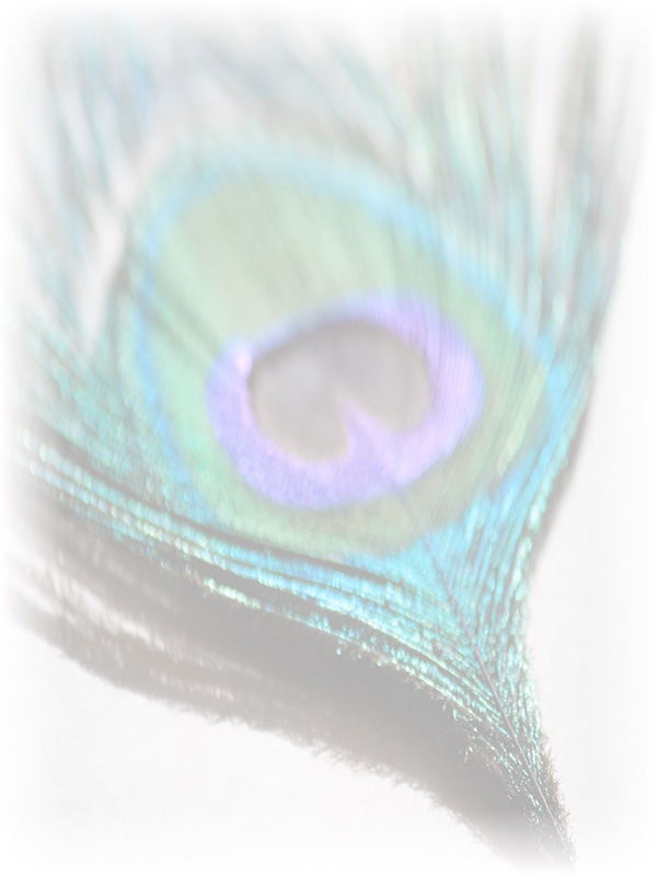 Law of Attraction Card - Image 3