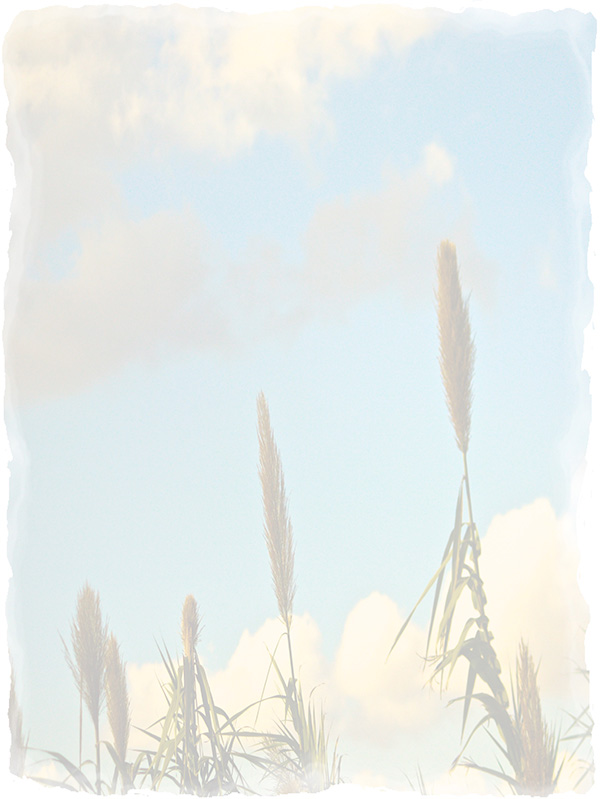 Law of Attraction Card - Image 3