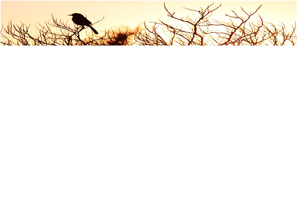 Law of Attraction Card - Image 3