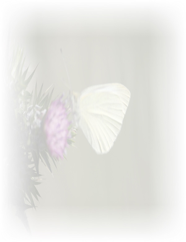 Law of Attraction Card - Image 3