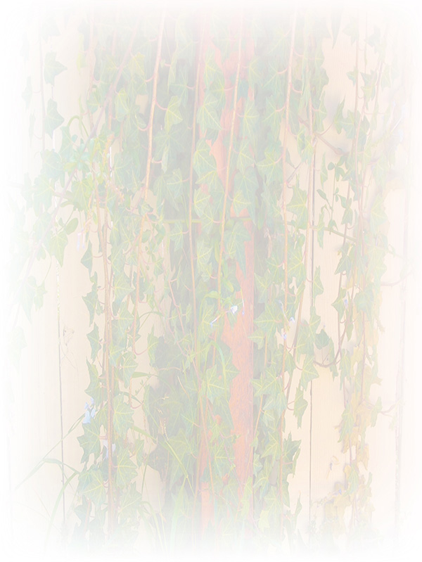Law of Attraction Card - Image 3