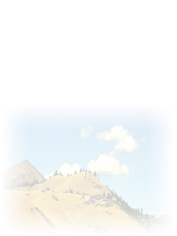 Law of Attraction Card - Image 3