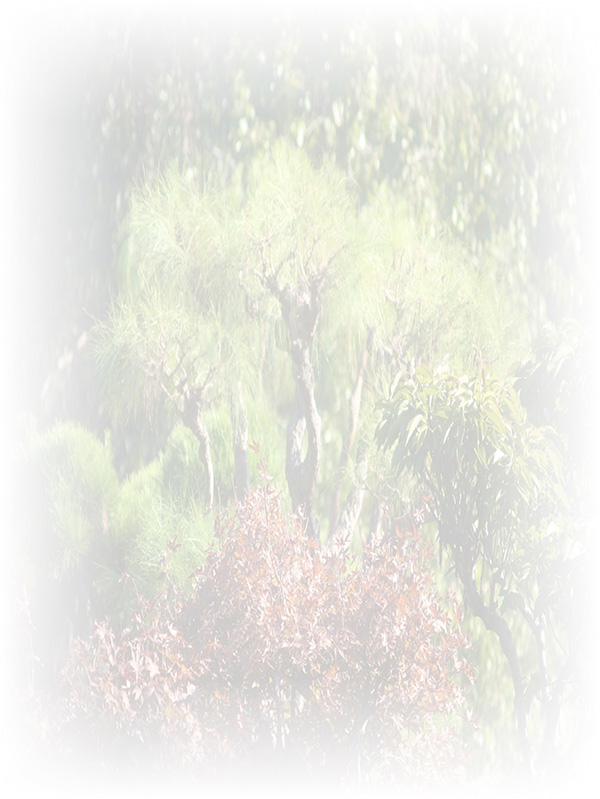 Law of Attraction Card - Image 3