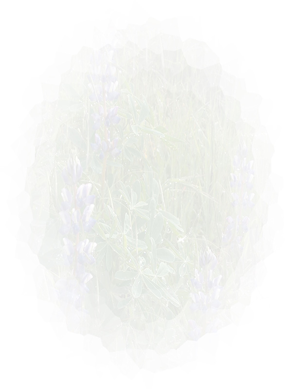 Law of Attraction Card - Image 3