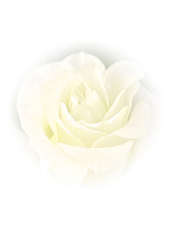 Law of Attraction Card - Image 3