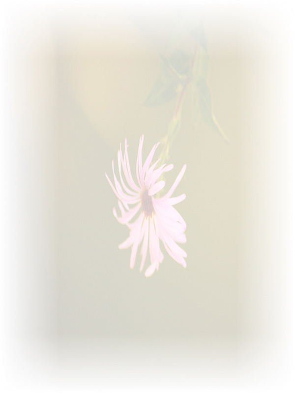 Law of Attraction Card - Image 3
