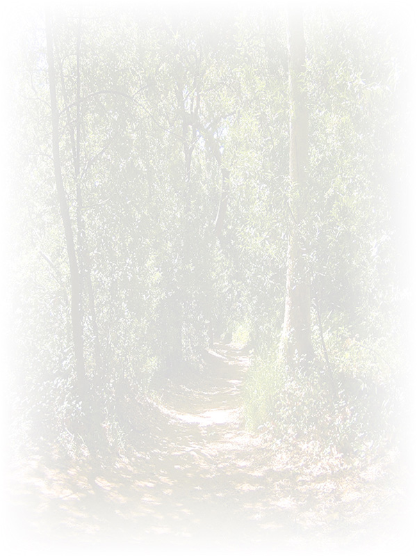 Law of Attraction Card - Image 3