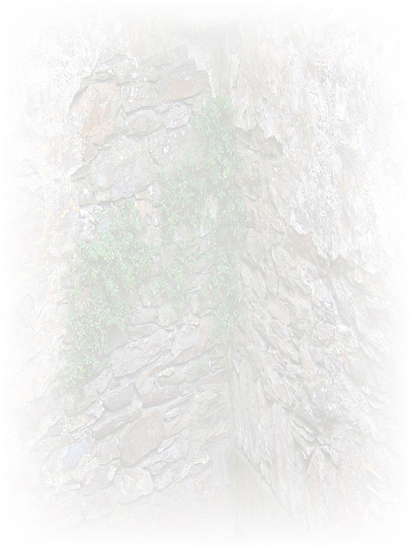 Law of Attraction Card - Image 3