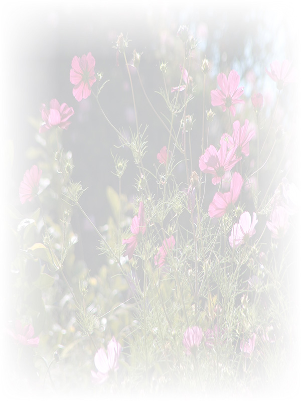Law of Attraction Card - Image 3